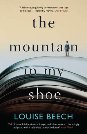 The Mountain in my Shoe de Louise Beech