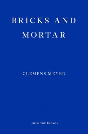 Bricks and Mortar de Clemens Meyer