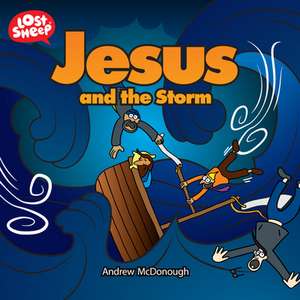 Jesus and the Storm de Andrew Mcdonough