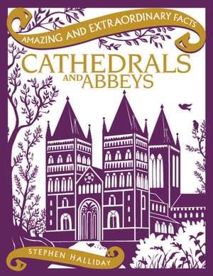 Cathedrals & Abbeys de Stephen Halliday