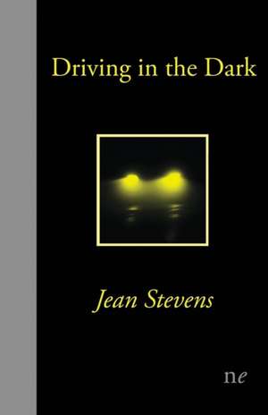 Driving in the Dark de Jean Stevens