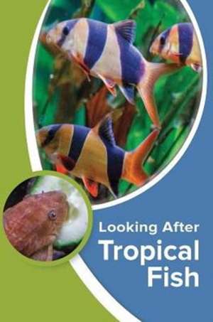 Looking After Tropical Fish de Kevin Wilson