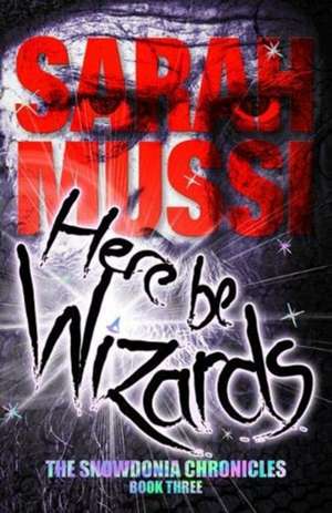 Here be Wizards de Sarah Mussi