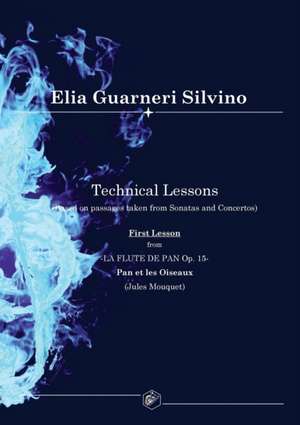 TECHNICAL LESSONS de Silvino Elia Guarneri