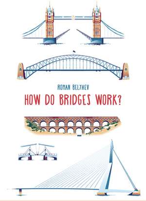 How Do Bridges Work? de Roman Belyaev