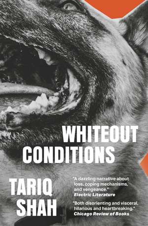 Whiteout Conditions de Tariq Shah