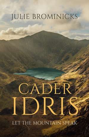 Cader Idris de Julie Brominicks