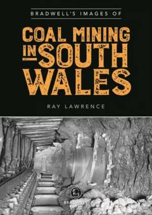 Bradwell's Images of South Wales Coal Mining de Ray Lawrence