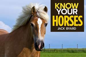 Know Your Horses de Jack Byard