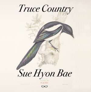 Truce Country de Sue Bae