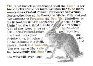 Jackie Morris The Names of the Hare Poster de Jackie Morris