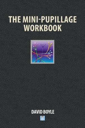 The Mini-Pupillage Workbook de David Boyle