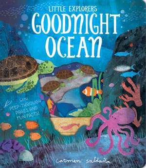 Goodnight Ocean de Becky Davies