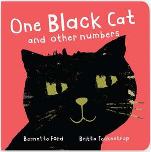 One Black Cat and Other Numbers de Bernette Ford