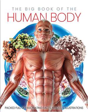 The Big Book of the Human Body de Katharine Marsh