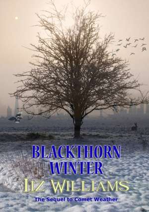 Blackthorn Winter de Liz Williams