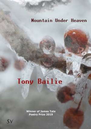 Mountain Under Heaven de Tony Bailie