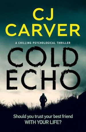 Cold Echo de CJ Carver