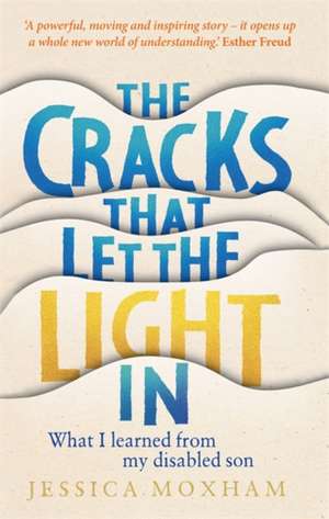 The Cracks that Let the Light In de Jessica Moxham