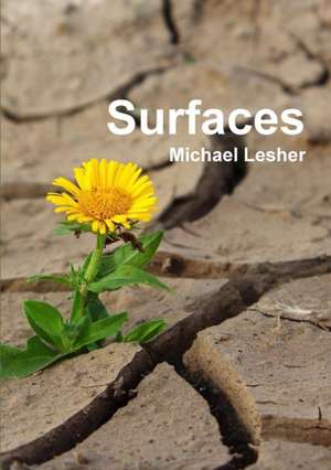 Surfaces de Michael Lesher