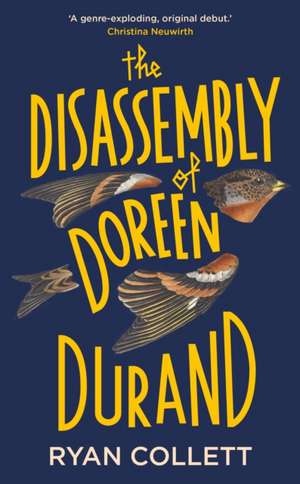 The Disassembly of Doreen Durand de Ryan Collett