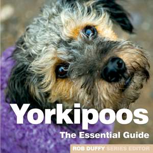 Yorkipoos de Robert r Duffy