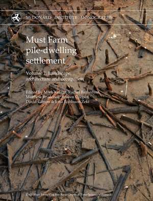 Must Farm Pile-Dwelling Settlement de Mark Knight