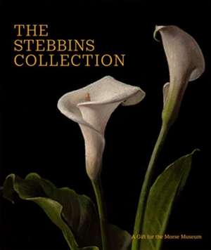 The Stebbins Collection de Regina Palm