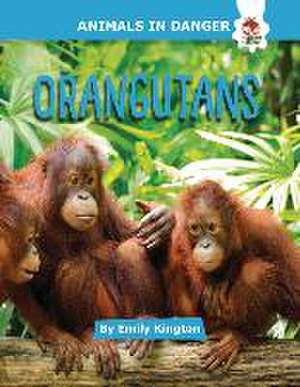 Orangutans de Emily Kington