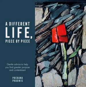 A Different Life, Piece by Piece de Prerana Phadnis