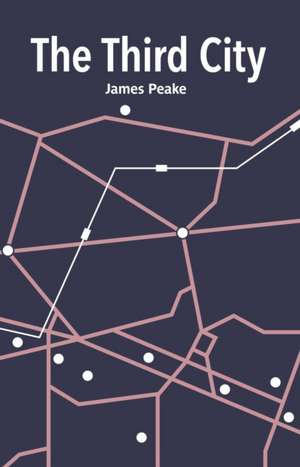 The Third City de James Peake