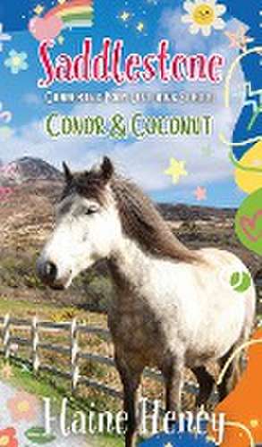 Saddlestone Connemara Pony Listening School | Conor and Coconut de Elaine Heney