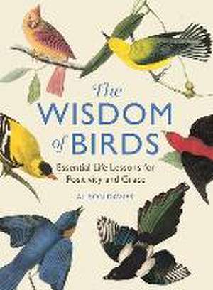 The Wisdom of Birds de Alison Davies