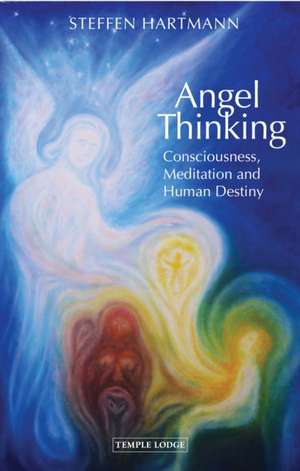 Angel Thinking de Steffen Hartmann