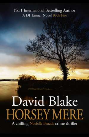 Horsey Mere de David Blake