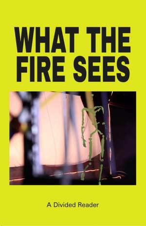 What the Fire Sees: A Divided Reader de Divided Publishing