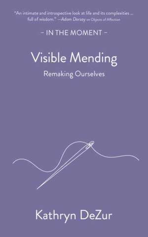 Visible Mending de Kathryn Dezur