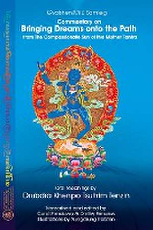 Commentary on BRINGING DREAMS onto the PATH from The Compassionate Sun of the Mother Tantra de Gyalshen Milü Samleg