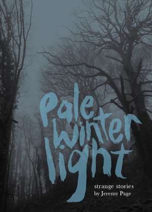 Pale Winter Light de Jeremy Page