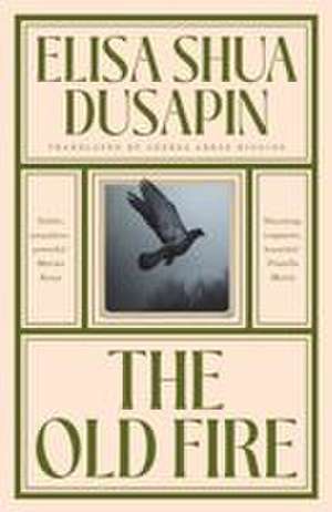 The Old Fire de Elisa Shua Dusapin