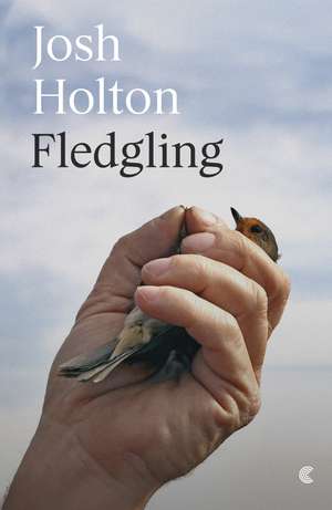 Fledgling de Josh Holton