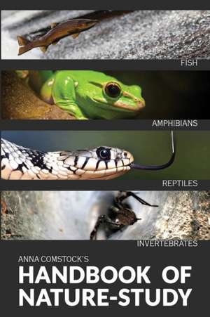 The Handbook Of Nature Study in Color - Fish, Reptiles, Amphibians, Invertebrates de Anna Comstock