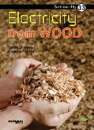 Electricity from Wood de Carole Crimeen