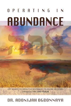 Operating in Abundance de Adonijah Ogbonnaya