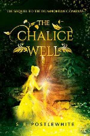 The Chalice Well de S B Postlewhite