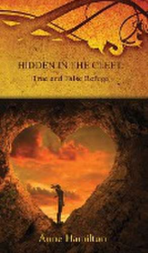 Hidden in the Cleft de Anne Hamilton