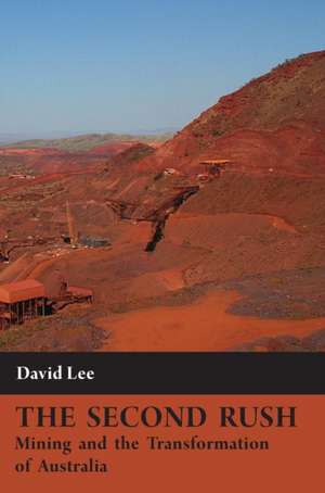 The Second Rush de David Lee