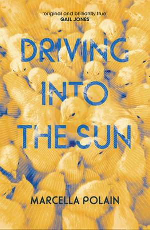 Driving Into the Sun de Marcella Polain