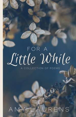 For A Little While de Amy Laurens
