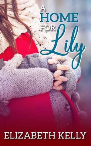 A Home for Lily de Elizabeth Kelly